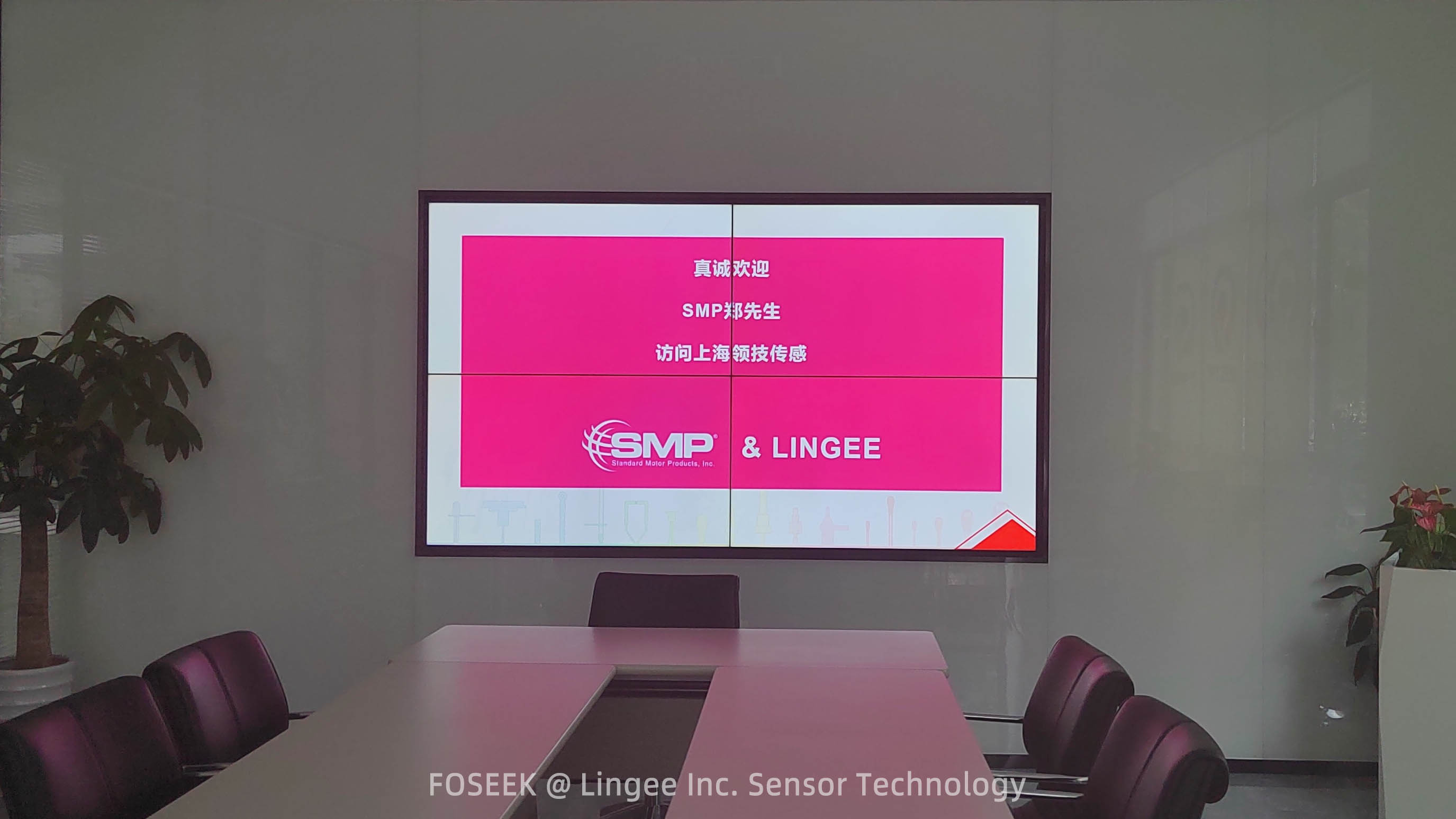 Lingee- Foseek